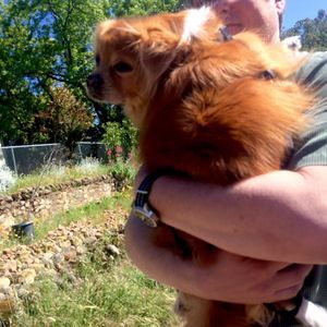 Meet your Posher, Brent